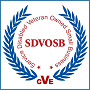 SDVOSB Business